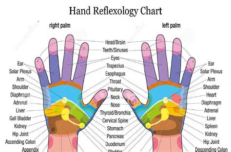 Hand Reflexology Reflexology And Reiki By Amber Jenkins