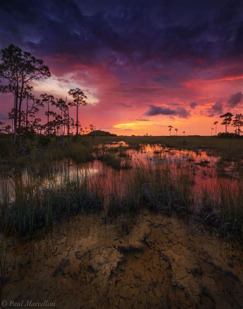 Color Over The Flood Everglades National Park Florida Florida