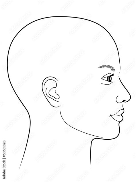 Seitenprofil Gesicht Frau Zeichnen Fototapete Set Zeichnung