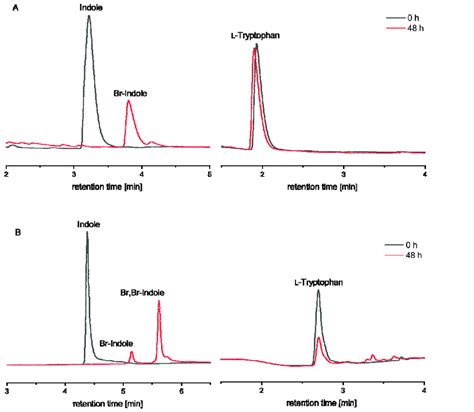 Reverse Phase High Performance Liquid Chromatography RP HPLC Profiles