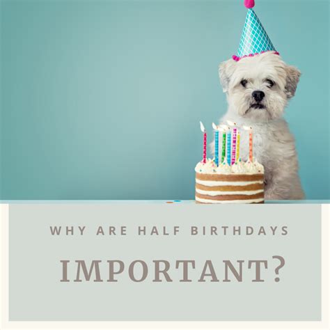 Half Birthday Ideas Fun Ways To Celebrate With A Half Birthday Party