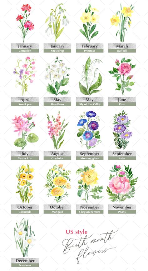 Watercolor Birth Month Flowers Clipart Floral Clip Art Us Etsy Uk