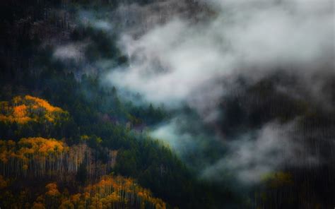 2500x1563 Landscape Nature Mist Fall Forest Mountain Trees Morning