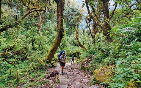 First Time In Nepal Trekking Jungle Rafting