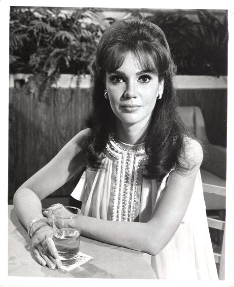 Mary Ann Mobley In For Singles Only Original Vintage Portrait 1968 Ebay