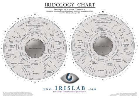 Iridology Chart Printable 10 Pcs Iridology Chart For You Iriscope