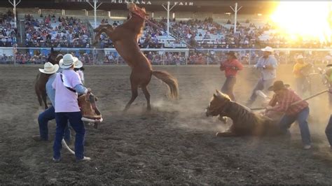 Final Round Wild Horse Race 2021 Miles City Bucking Horse Sale 5th