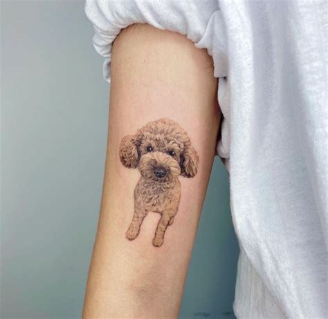 19 Of The Best Poodle Tattoo Ideas Ever The Dogman