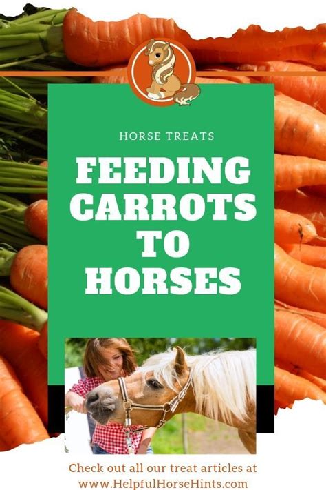 Feeding Carrots To Horses Nutrition And Precautions Horse Nutrition