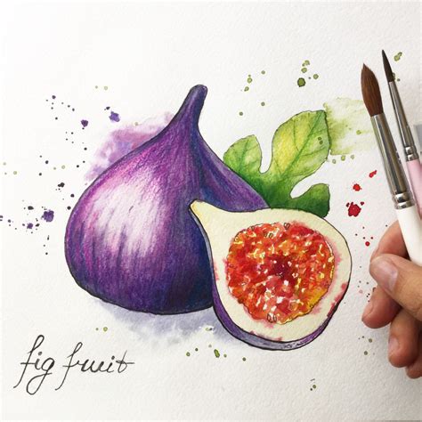 Watercolor Fruits And Vegetables On Behance