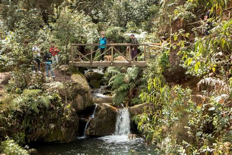 Quebrada Las Delicias Nuevamente En Peligro Ecoturismo Colombia