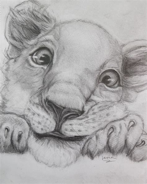 Baby Lion🦁💓 Lion Sketch Easy Drawings Sketches Cool Drawings