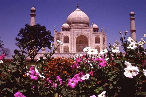 Taj Mahal Garden Photograph By Peter Gellatly