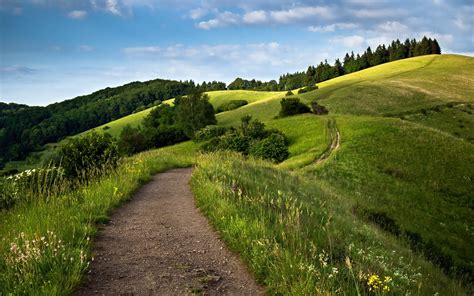 Camino En El Campo Fondo De Pantalla Full Hd Id914