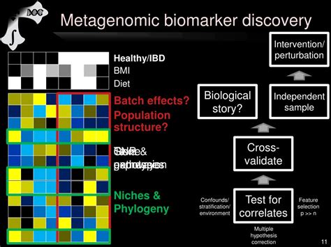 Ppt Computational Metagenomics And The Human Microbiome Powerpoint