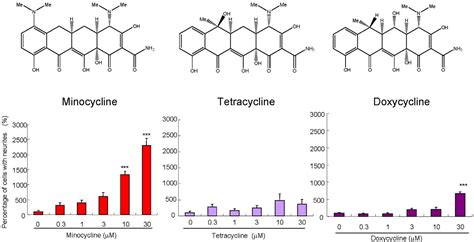 Figure 1 From A Novel Target Of Action Of Minocycline In Ngf Induced