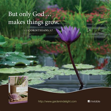 Bible Verses About Gardens ~ Best Wallpaper Rosella Watts