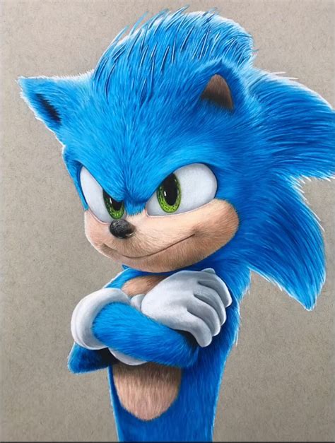 Sonic The Hedgehog Drawing Hedgehog Drawing Hedgehog Art Sonic
