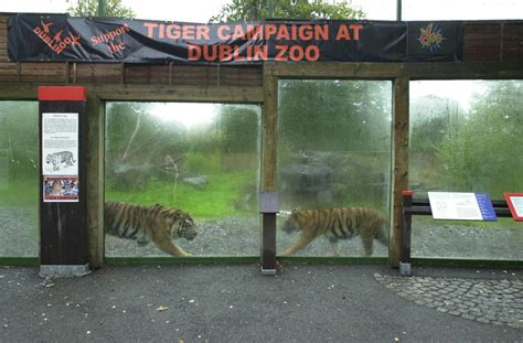 Dublin Zoo Unveils New Habitats Investment Plan Express And Star