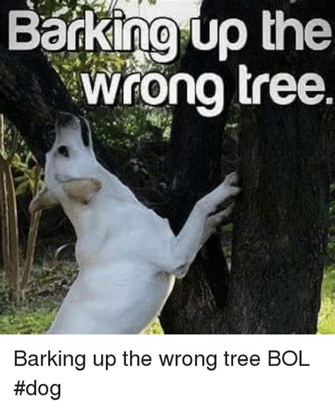 Barking Up The Wrong Tree Memes Josefinromskaugdrommen