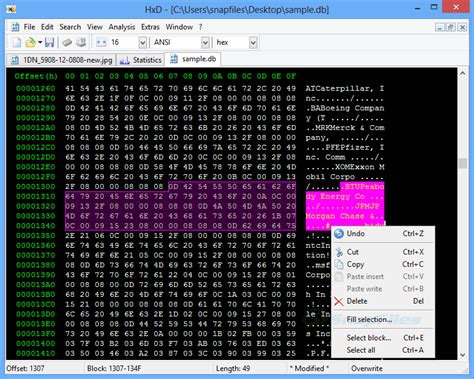 Hxd Hex Editor Screenshot And Download At