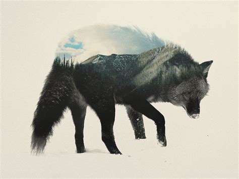 Double Exposure Animal Portraits By Andreas Lie — Colossal Double