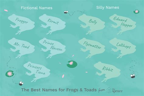 Funny Names For Pet Frogs - Funny PNG