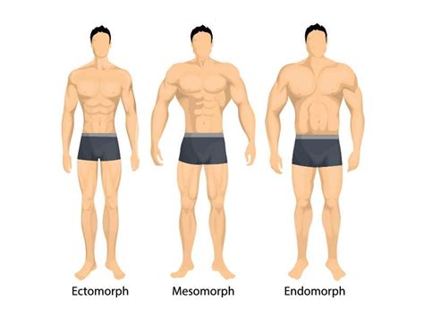 Body Composition Definition And Why It Matters Old School Labs