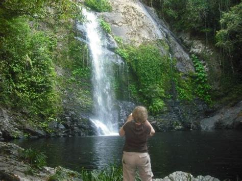Swimming In Cassowary Falls Picture Of Daintree Discovery Tours Port