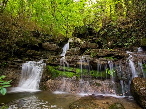 Natural Springs In North Georgia Getaways For The Soul Georgia