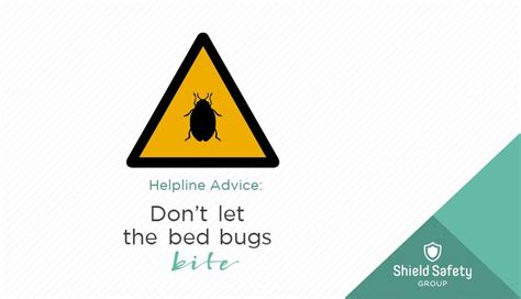 Helpline Advice 2 — Dont Let The Bedbugs Bite