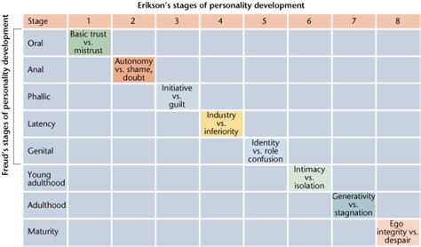 Here are the details to erik erikson's theory that will help you understand when your children are developing a sense of what, their timeline for building social interactions or focusing on work and so much more. Erik Erikson - 8 stages of development