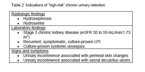 American Urological Association Non Neurogenic Chronic Urinary