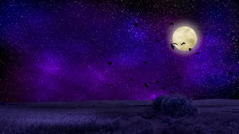 Wallpaper Full Moon Starry Sky Birds Night Photoshop