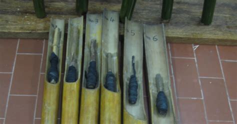 Alat musik tradisional menjadi gambaran kekayaan budaya indonesia. Alat Muzik Tradisional: IDIOFON..
