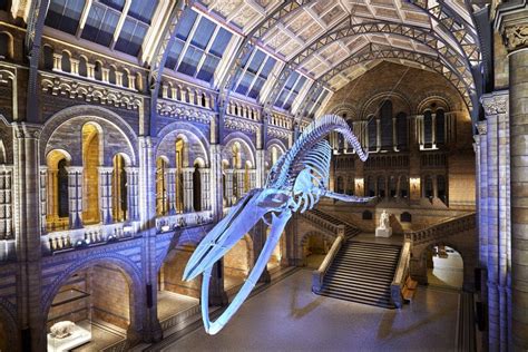 Natural History Museum Guide Exhibitions And Visitor Info United