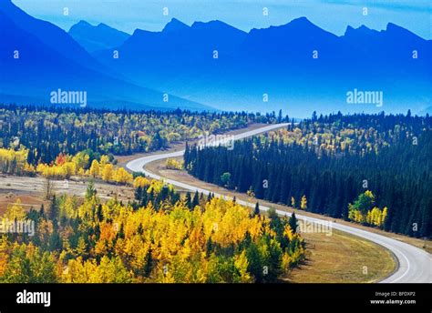 Road Through The Canadian Rockies In Autumn David Thompson Highway