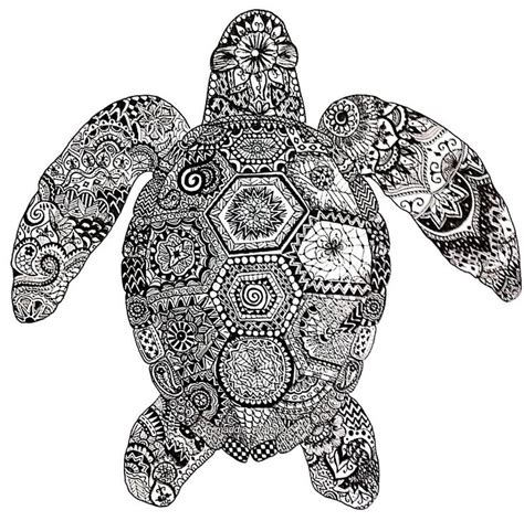 Zentangle Turtle Poster Art Zentangle Turtle Drawings