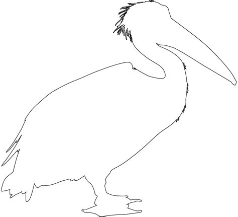 Bird Pelican Outline Stained Glass Patterns Mosaic Birds Coloring Pages