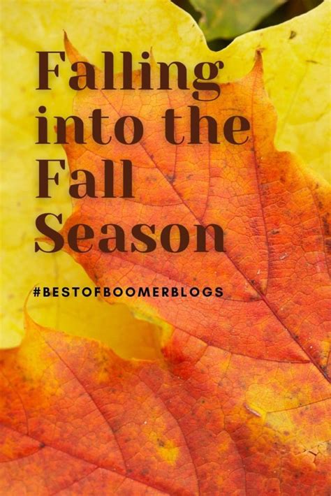 Best Of Boomer Blogs Falling Into The Fall Season