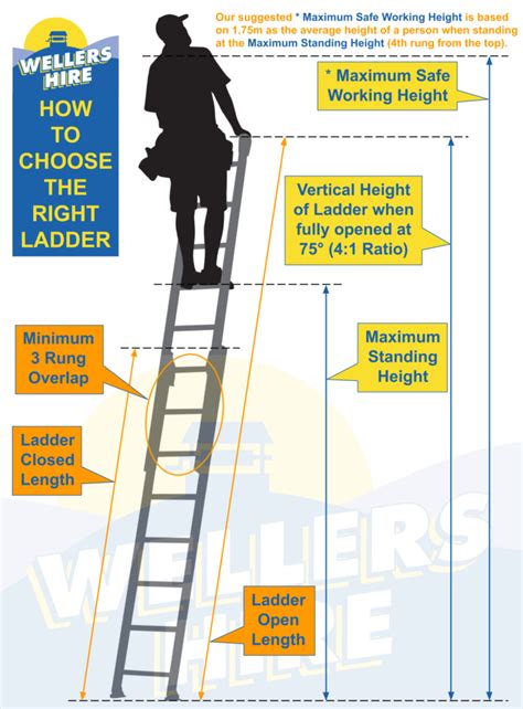 Extension Ladders • Wellers Hire