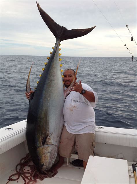 Pv Sportfishing Yellowfin Tuna Fishing In Puerto Vallarta Mexico