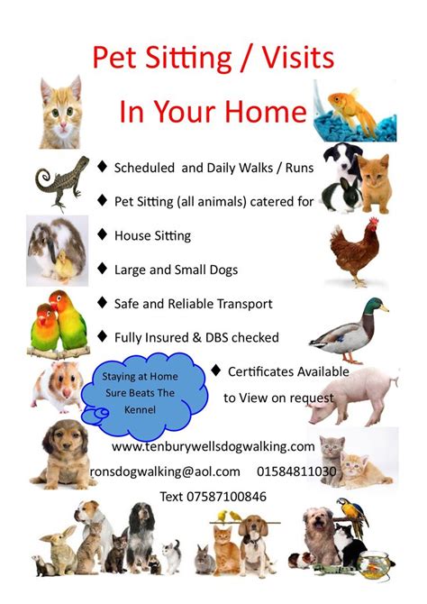 You won't find better care, nicer business owners, or better prices. Pet sitting and home visit advert | Pets | Pinterest ...