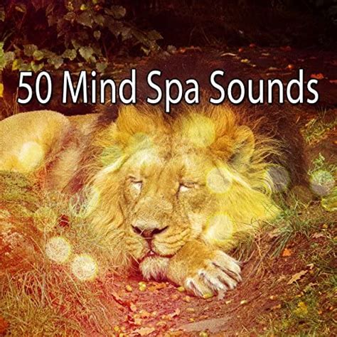 50 Mind Spa Sounds Best Relaxing Spa Music Digital Music