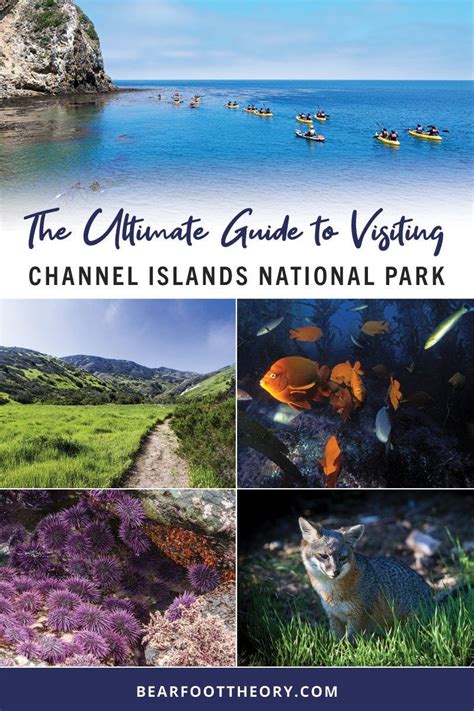 Channel Islands National Park How To Visit And Things To Do Channel