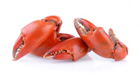 Premium Photo Boiled Crab Claws Isolated On White Background