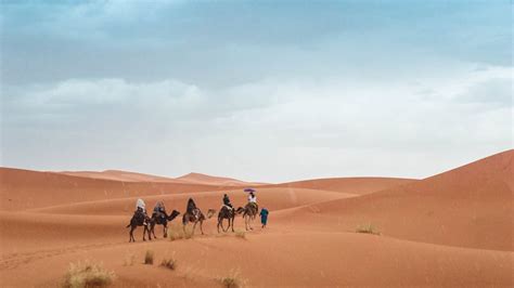 3 Days Tour From Marrakech To Merzouga Desert 20242025