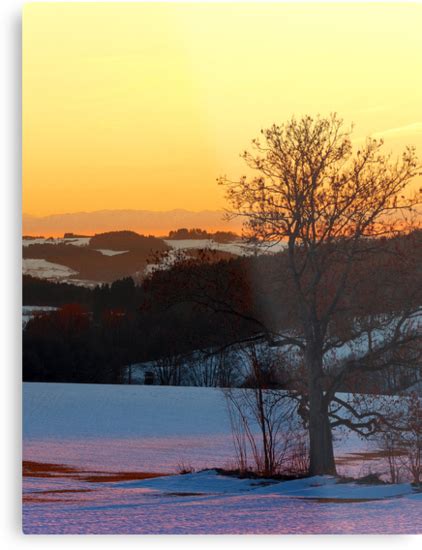 Colorful Winter Wonderland Sundown V Landscape Photography Metal