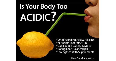 Tomatoes are acidic in the mouth and stomach, yet their alkaline residue alkalizes the body. Is Your Body Too Acidic
