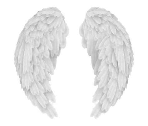 Wings Png Images Transparent Free Download Pngmart